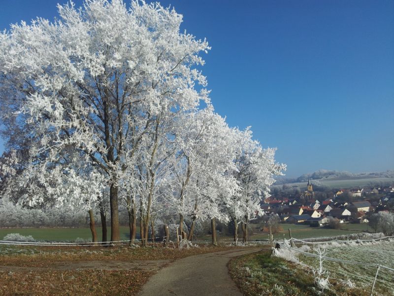 impressionen_9.jpg